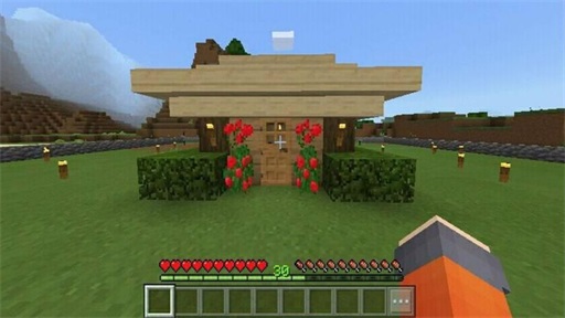 Craftsman: Building Craft